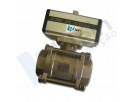 Ball Valve with Pneumatic Actuator